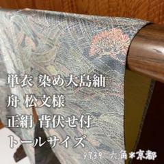 単衣 ☆ 染め 大島紬 舟 松文様 正絹 背伏せ付 トールサイズ
