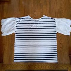 濃紺のストライプ 柄　 　　　　レース袖 Tシャツ 〈新品 未使用〉Mサイズ