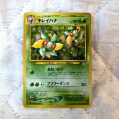 キレイハナ　旧裏 psa10 キラ　ホロ　極美品　希少 キレイハナ 旧裏 psa10 キラ ホロ 極美品 希少 - メルカリ