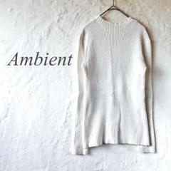 Ambientアンビエント/リブカットソー/白/伸縮性/韓国製/ハイネックY87
