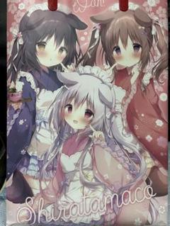 【激レア非売品色紙付き】C102 夏コミケ　しらたまこ　新刊セット 激レア非売品色紙付き】C102 夏コミケ しらたまこ 新刊セット