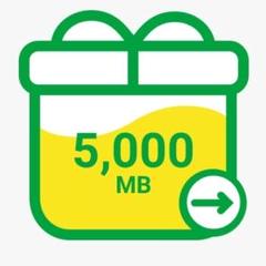 mineoパケットギフト5GB
