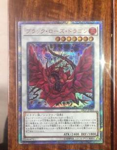 20cp黒蔷薇龍紅砕、花龍