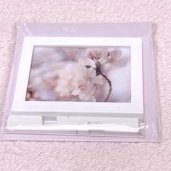 SixTONES 京本大我 アクリルフレーム 春夏秋冬　個展　視点と始点 京本大我 写真展「視点と始点」