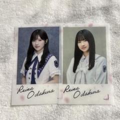 櫻坂46 小田倉麗奈 新参者グッズ クリアファイル&ステッカー 櫻坂46 小田倉麗奈 新参者グッズ クリアファイル&ステッカー