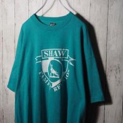 USA製 フルーツオブザルーム 90s Tシャツ シングルステッチ 2XL