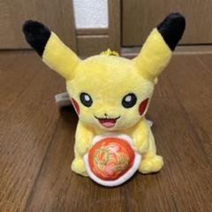 ポケモンセンター ナゴヤ ロゴキーホルダー ピカチュウ ヒコザル チコリータ 2025年最新】Yahoo!オークション -ポケモン チコリータ(コミック
