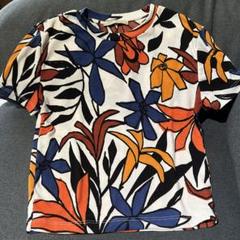 ZARA Tシャツのサムネイル