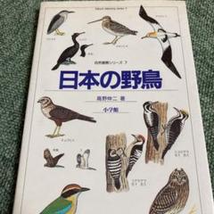 貴重昭和53☆野鳥観察図鑑/大自然へのパスポート☆ 朝日ソノラマ