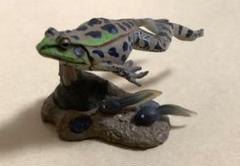 カエルの森工房　トウキョウダルマガエル　ハンドメイド　フィギュア　置物　両性類 カエルの森工房 トウキョウダルマガエル ハンドメイド