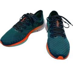 ナイキ nike Pegasus turbo 2 25cm