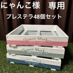 ６段トレー　多肉植物棚　木製プランター　多肉棚　トレー　アガベ　斑入り　韓国苗 6段トレー 多肉植物棚 木製プランター 多肉棚 トレー アガベ