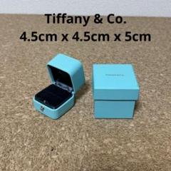 Tiffany & Coのシルバージュエリーケース　ピューター　ポーチ箱有り Tiffany & Coのシルバージュエリーケース ピューター ポーチ箱有り