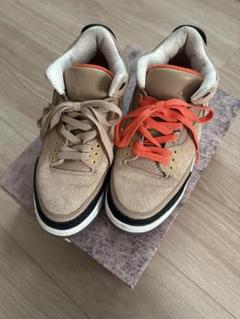 Nikeエアジョーダン3 25センチ