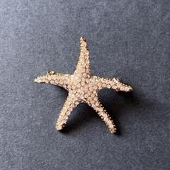 CALFORD セルフォード ブローチ star fish ヒトデ 夏 金色