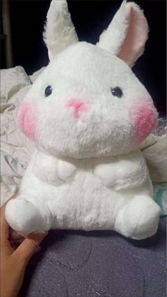 白いウサギのぬいぐるみ