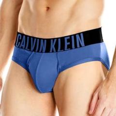 「入手困難品」 Calvin Klein ヒップ　ブリーフ NB1044-420
