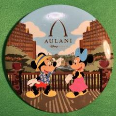 ディズニー　ピンバッチ　プリンセス　マトリョシカ　ハワイ　アウラニ ディズニー アウラニディズニーリゾート ディズニーランド ピンバッジ 13個