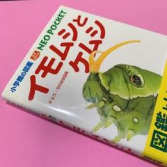 イモムシとケムシ チョウ ガの幼虫図鑑の中古 未使用品を探そう メルカリ イモムシとケムシ チョウ ガの幼虫図鑑の中古 未使用品を探そう メルカリ