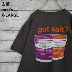 古着 Instant Ocean Tシャツ ギルダン バックプリント グレーXL