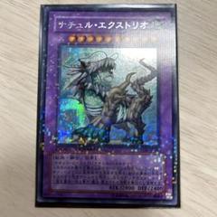 遊戯王　ナチュル・エクストリオ シークレット　dt ars10 psa 遊戯王 ナチュル・エクストリオ シークレット dt ars10 psa