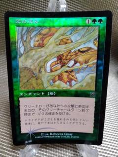 Foil 山 / Mountain 20枚 メルカディアン・マスクス mountain-346-37772.jpg