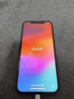 iPhone12 64GB ジャンク品 iPhone12 64GB ジャンク SIMフリー