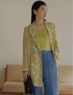 アメリ　MEDI ALICE JACKET 試着のみ