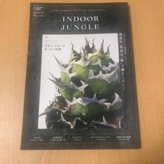 INDOOR JUNGLE アガベ・チタノタ ネームド図鑑 2