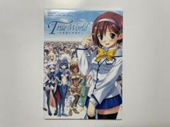 TrueWorld 真実のセカイ PCゲーム Win 98/Me/2000/XP