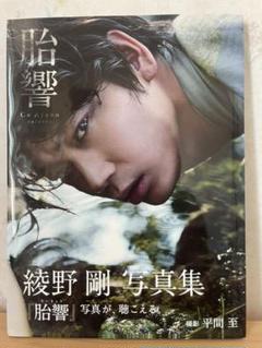 綾野剛 胎響の中古 未使用品を探そう メルカリ