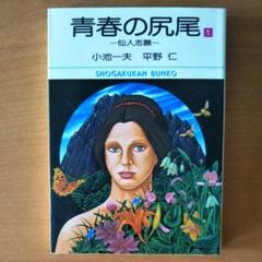 青春の尻尾 平野の中古 未使用品を探そう メルカリ 青春の尻尾 平野の中古 未使用品を探そう メルカリ