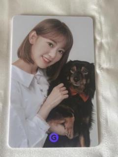 IZ*ONE アイズワン ルセラフィム サクラ gmarket トレカ 宮脇咲良