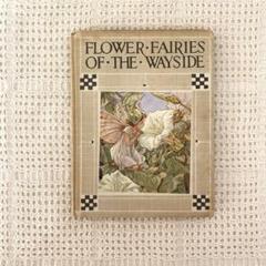 【希少】初版Flower Fairies 道端の花の妖精 洋書 古書 希少】初版Flower Fairies 道端の花の妖精 洋書 古書 - メルカリ