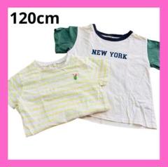 サマンサモスモスラーゴム プティマイン 120cm 半袖Tシャツ 子供服 キッズ