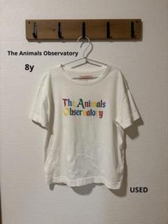 The Animals Observatory 半袖Tシャツ 8y