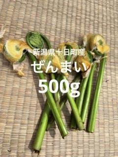 令和7年新潟県十日町産ぜんまい500g m57745761538_1.jpg?1746154903