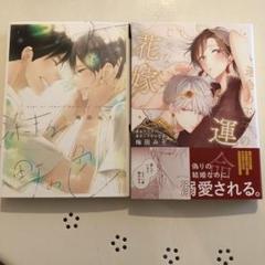 運命の王子の運命じゃない花嫁、君に染まる町の色