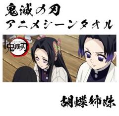 鬼滅の刃 まとめ売り 胡蝶姉妹 2025年最新】胡蝶姉妹の人気アイテム - メルカリ