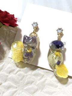 新カラー♡ 秘密のパンジー妖精猫　ピアス　可愛い　レジン