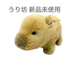 2025年最新】star child ぬいぐるみの人気アイテム - メルカリ