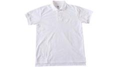DESCENTE Move Sport ゴルフシャツ ロゴポロシャツ