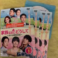 家族なのにどうして ボクらの恋日記 全41巻 韓国ドラマ DVD