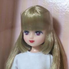 リカちゃんキャッスル 2023年日本橋BASICモデル パレットF V2
