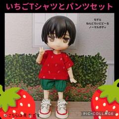 オビツ11 ねんどろいどどーる ディーラー Tシャツ レア セット オビツ11 ねんどろいどどーる ディーラー様製 セーラー服 - メルカリ