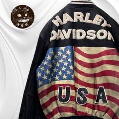 USA HARLEY DAVIDSON ライダース バックスキン スタジアム