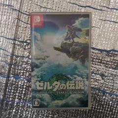 ゼルダの伝説 ティアーズ オブ ザ キングダム