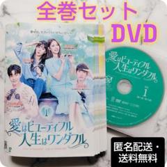 ソル・イナ『愛はビューティフル 人生はワンダフル』レンタル落ちDVD★全巻★韓国