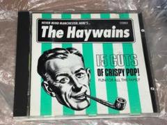 THE HAYWAINS / 15 CUTS OF CRISPY POP！