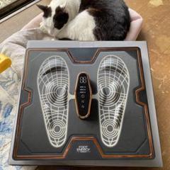 保坂流ウェルネスFOOT ENERGY フットエナジー　シャンパンピンク 保坂流ウェルネスFOOT ENERGY フットエナジー シャンパンピンク